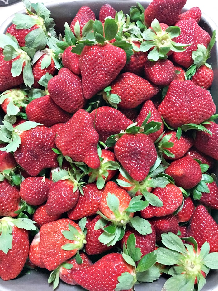 Gâteau aux fraises