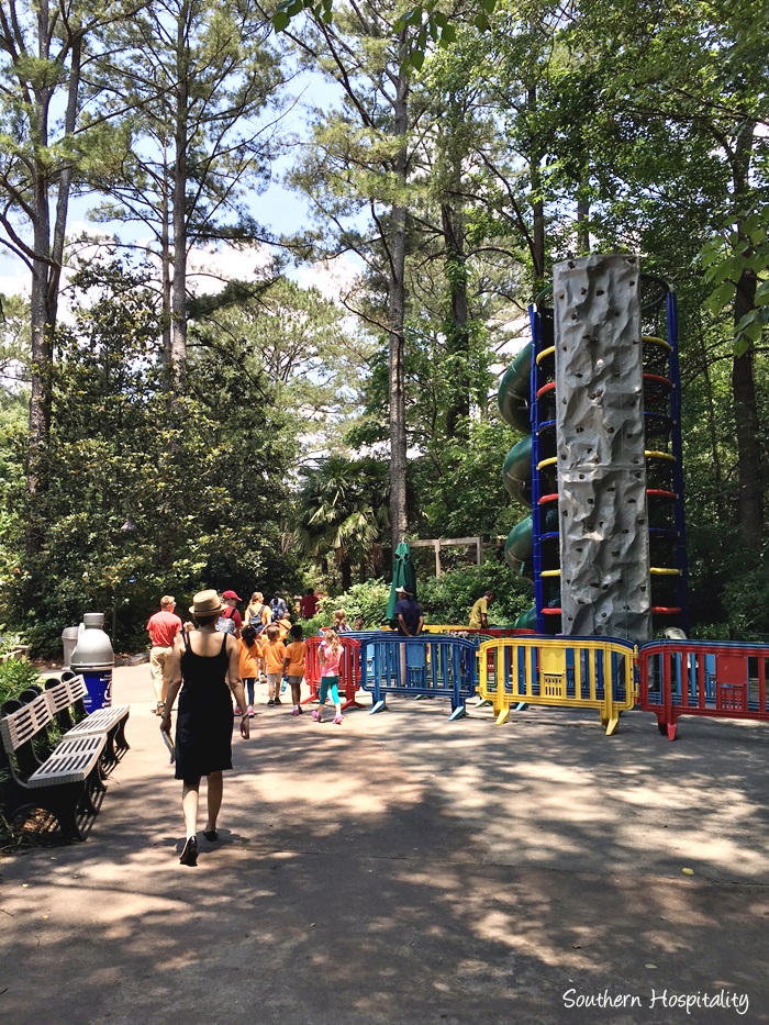 zoo atlanta052