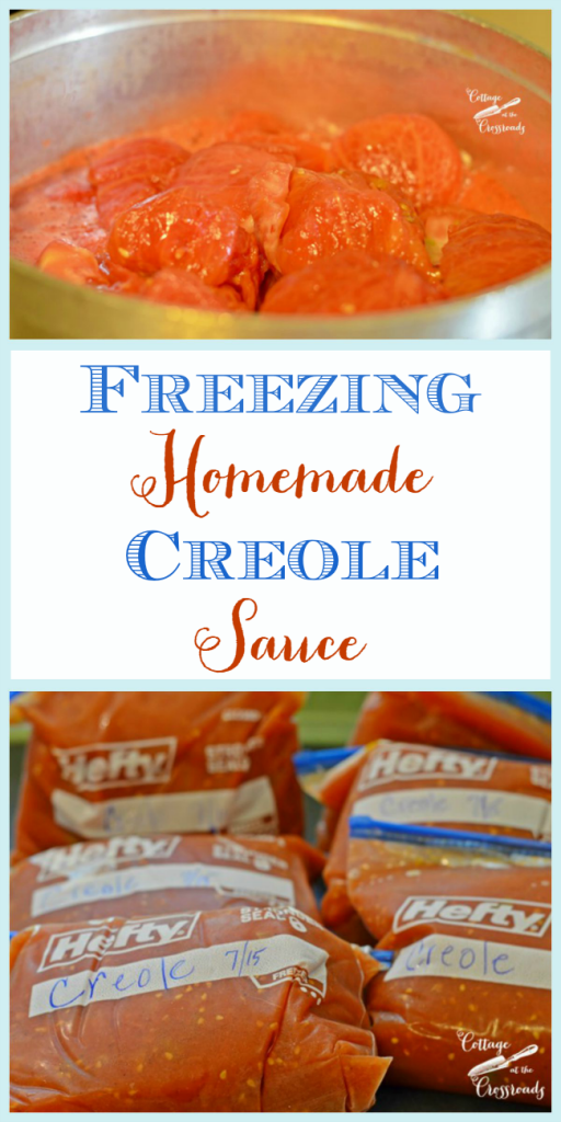 Freezing-Homemade-Creole-Sauce