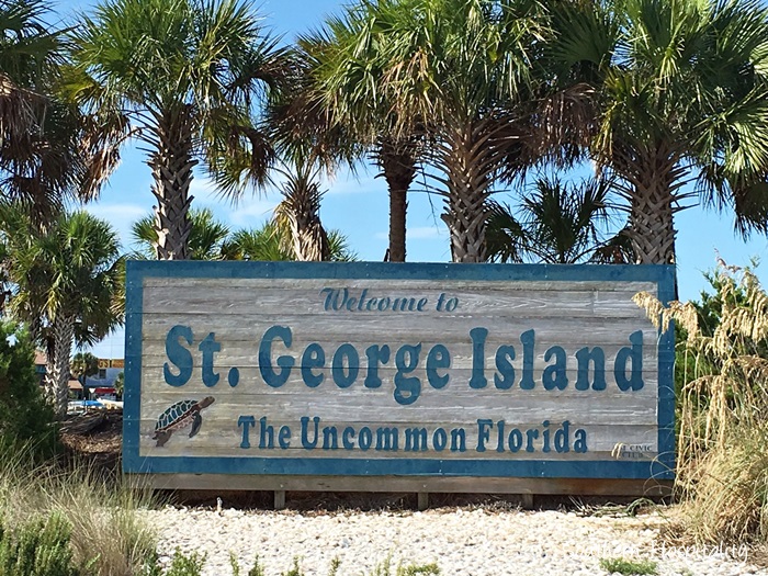 st george island fl018