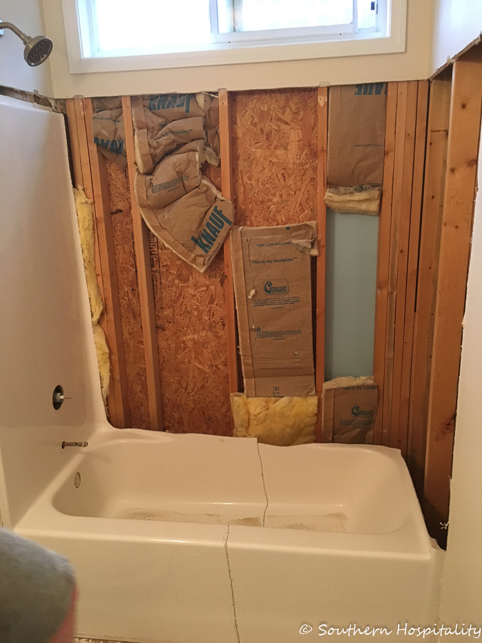 Guest Bath Renovation Progress