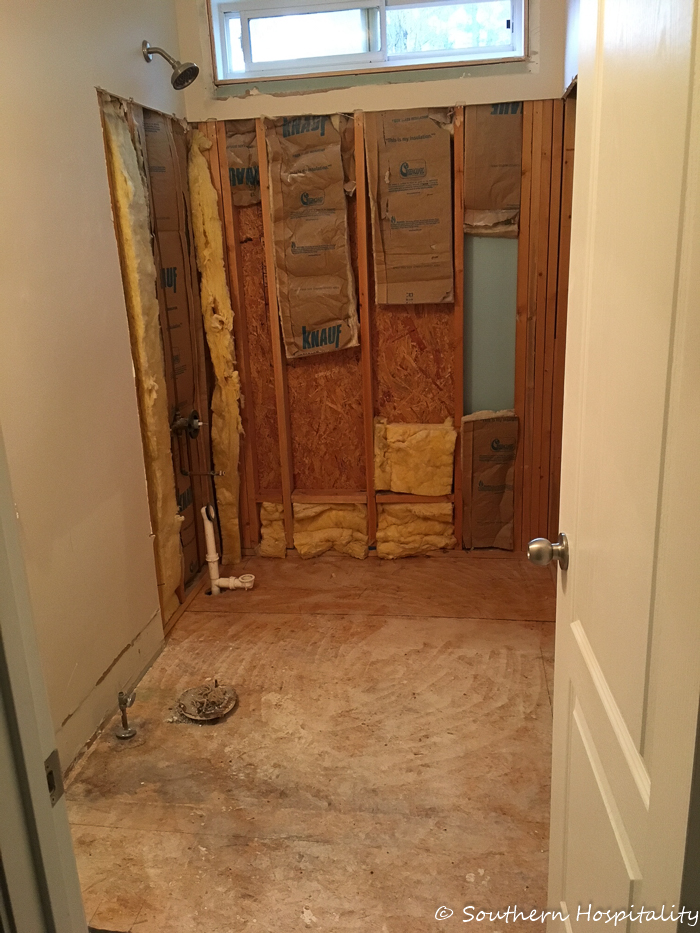 Guest Bath Renovation Progress