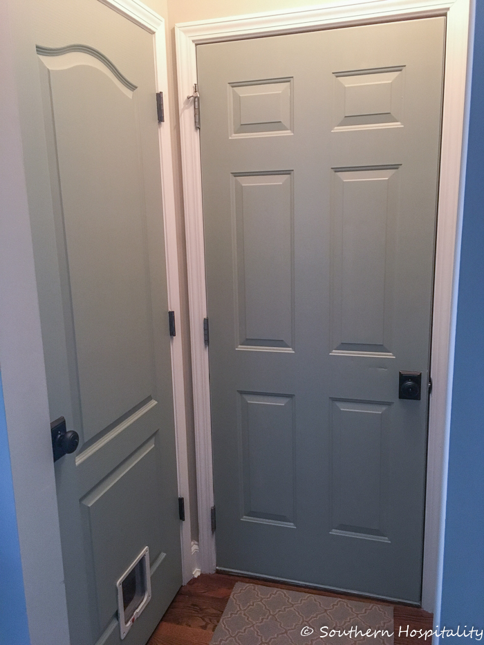 Painting Interior Doors doggie door