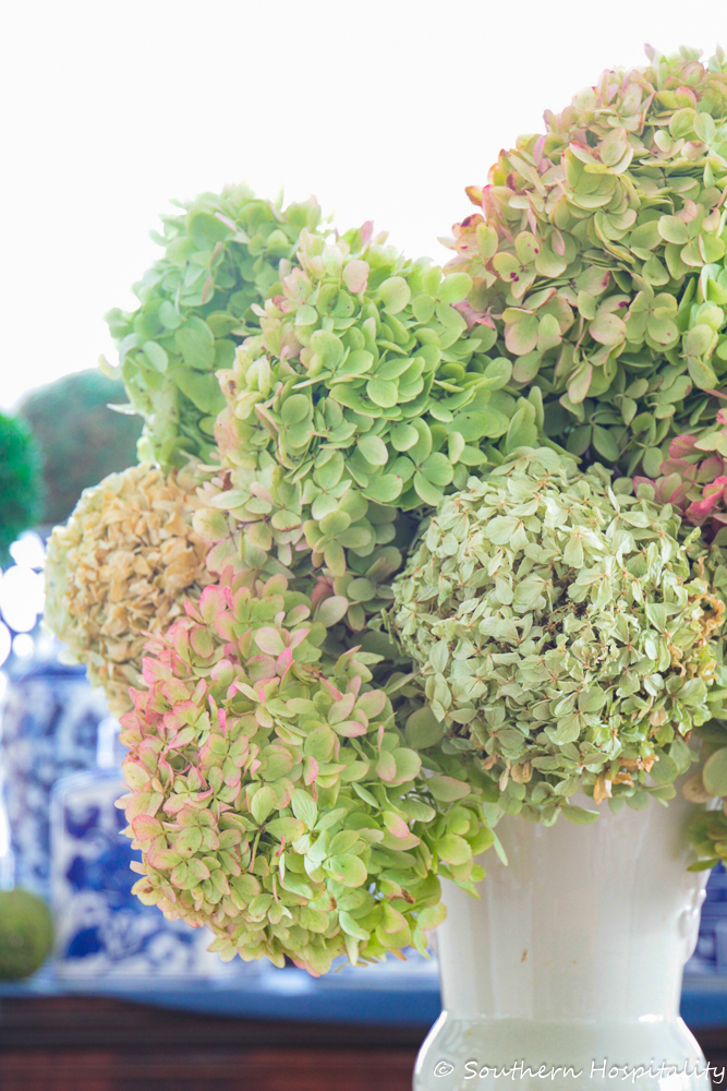 Dried Hydrangeas