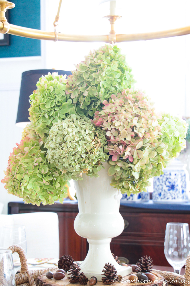 how to dry limelight hydrangeas