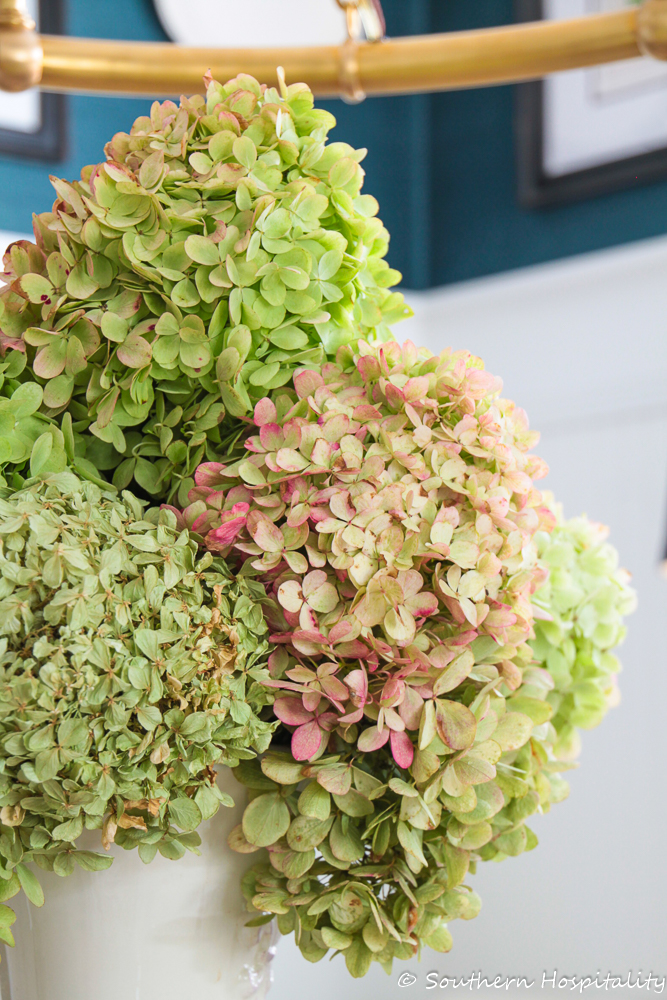 how to dry limelight hydrangeas