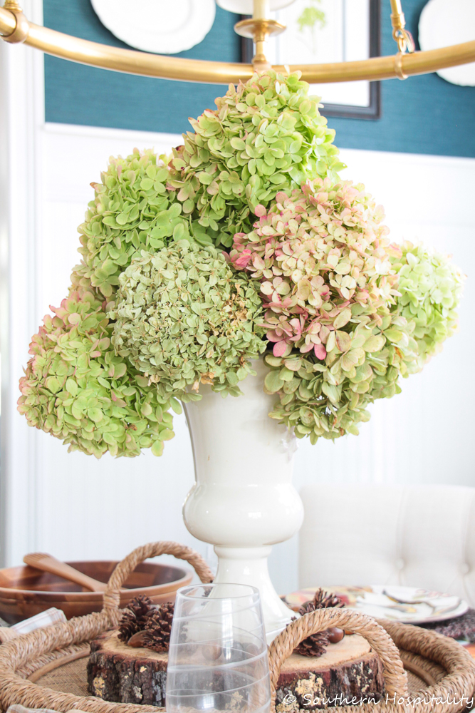 The Easy Way to Dry or Preserve Limelight Hydrangea Blossoms – Between Naps  on the Porch