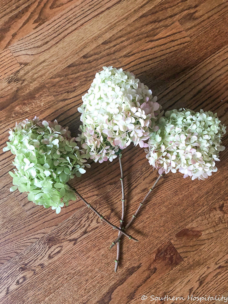 how to dry limelight hydrangeas