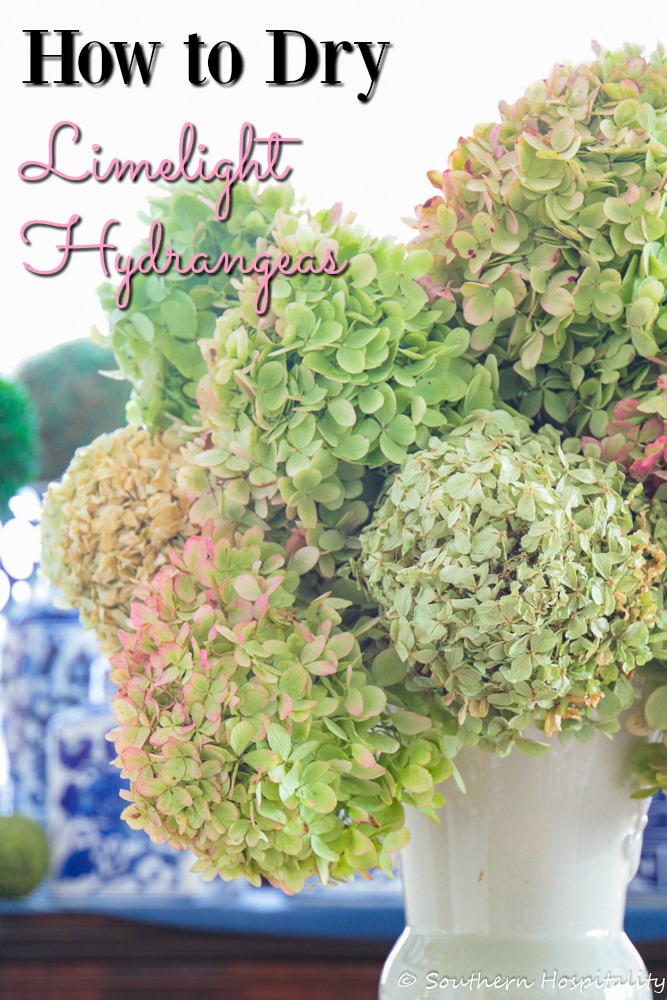 How to Dry Limelight Hydrangeas - Southern Hospitality