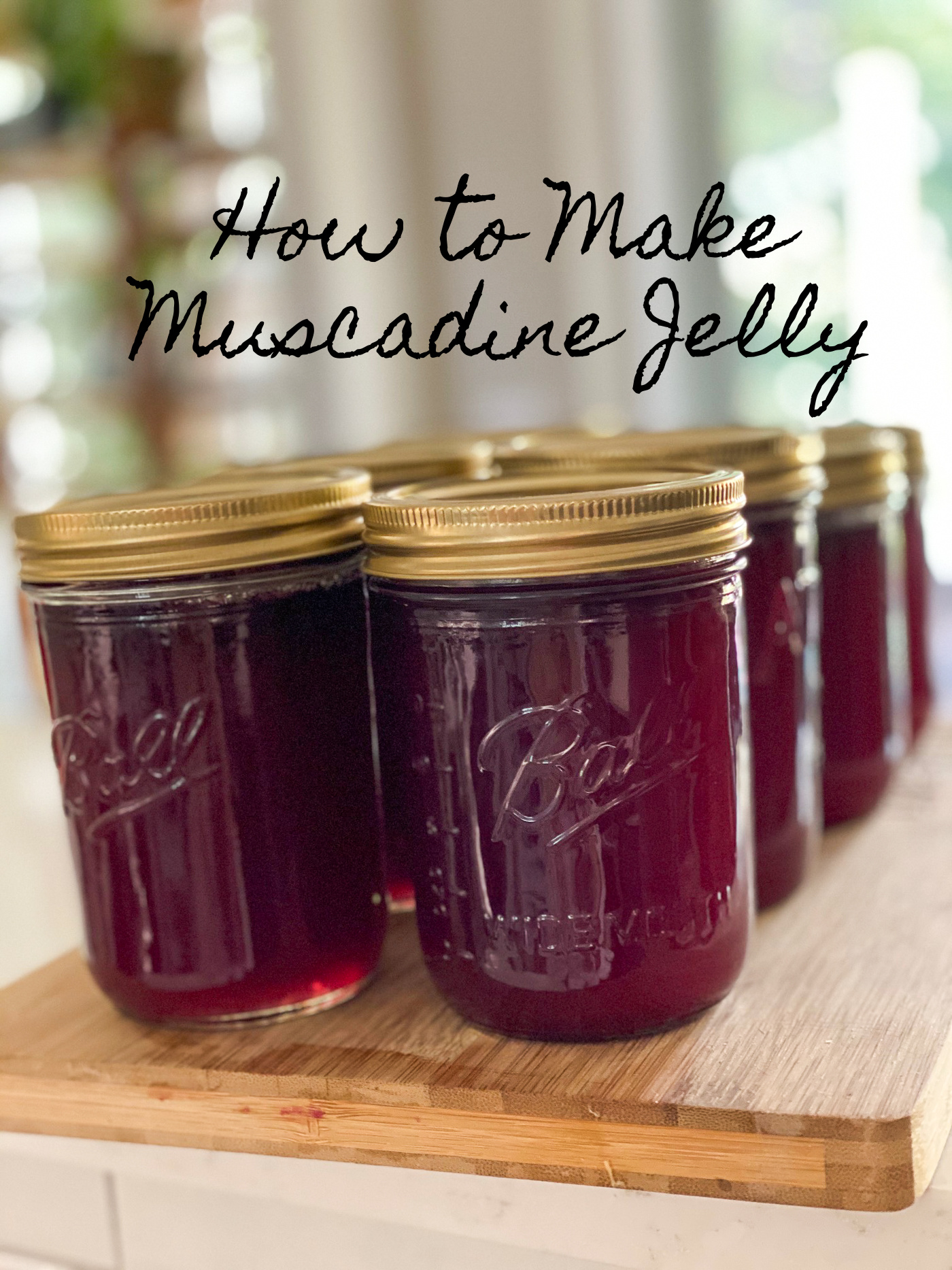 How To Make Muscadine Jelly Southern