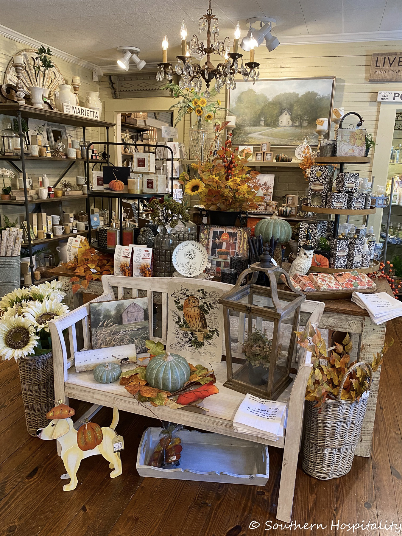 Home Decor Shopping in West Cobb Southern Hospitality