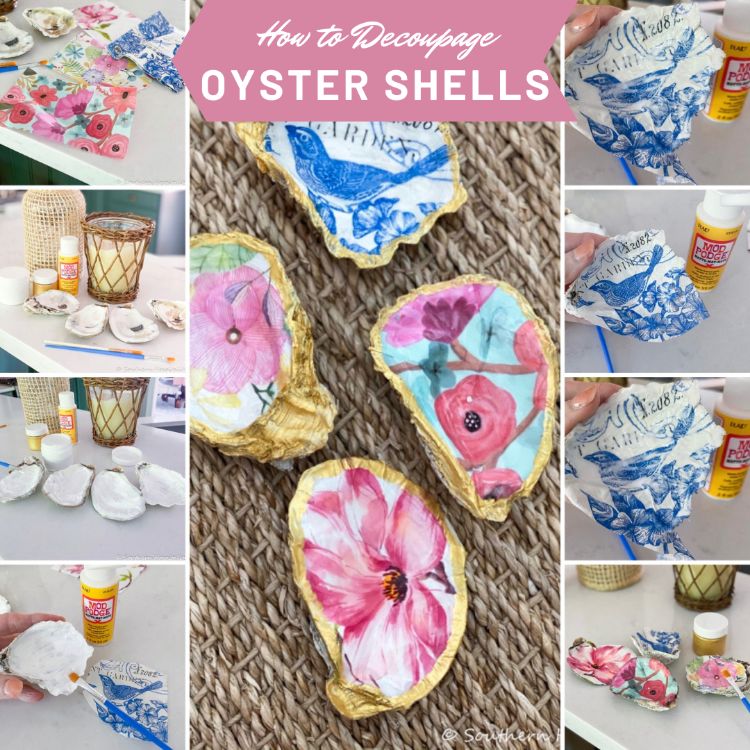 Oyster Shell Craft: Pretty DIY Jewelry Storage Dishes