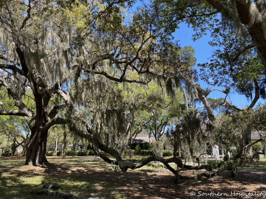 Return to St. Simons & Epworth by the Sea - Southern Hospitality