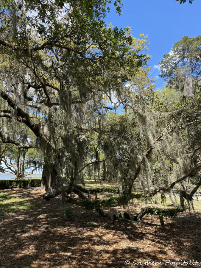 Return to St. Simons & Epworth by the Sea - Southern Hospitality