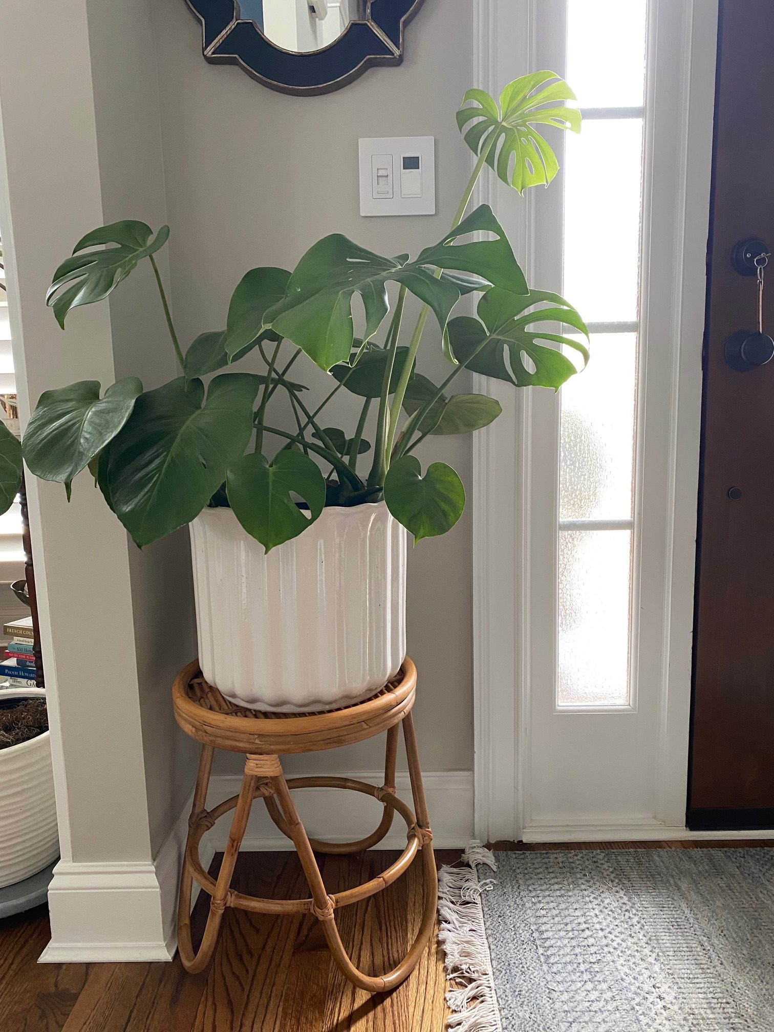 Rattan Plant stand