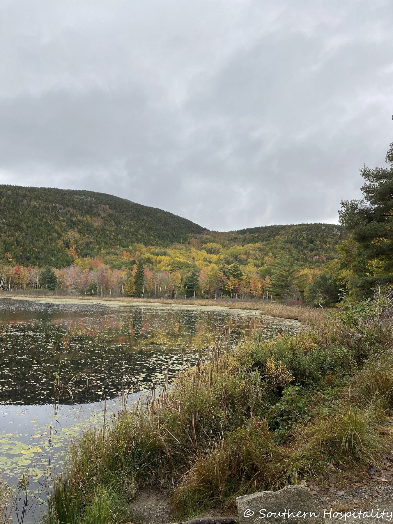 Should I Vacation in Cap Cod or Bar Harbor? Which Is Better?