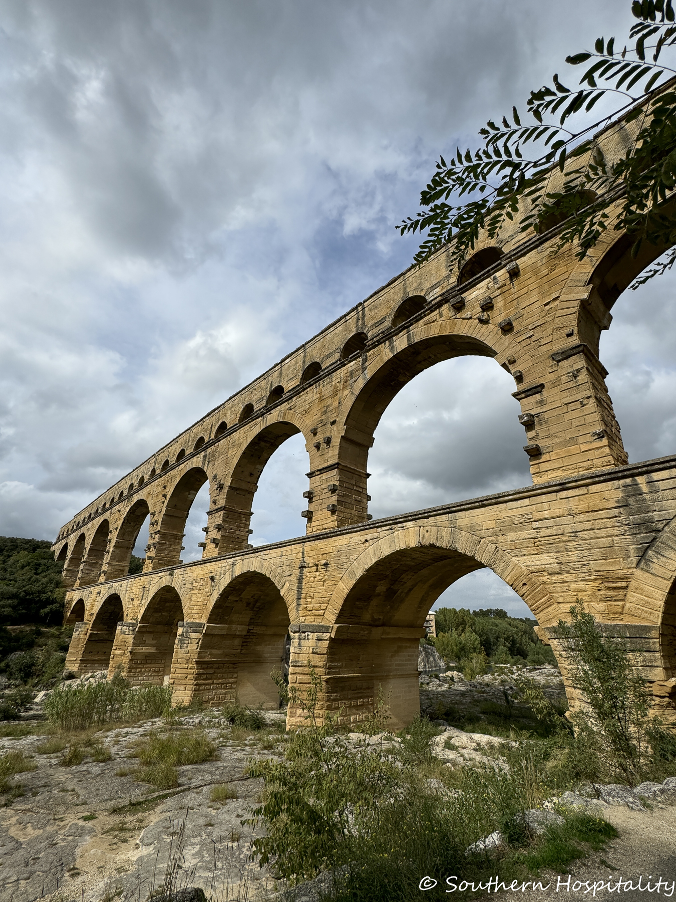 Our Viking Rhone River Cruise: Exploring Avignon - Southern